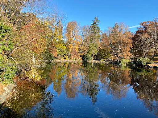 Wright Park - Visual