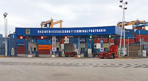 Terminal ocupa - Visual