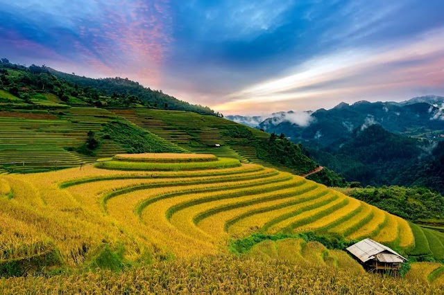 Mù Cang Chải District