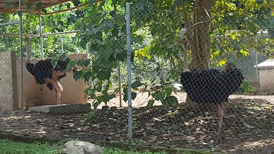 Photos of Futa's Wildlife Park