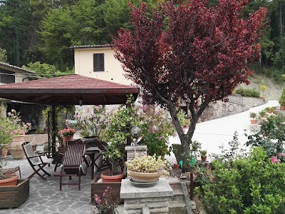 Photos of La Terrazza del Subasio