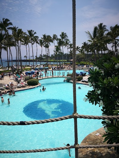 Dolphin Quest Hawaii - Swim with Dolphins