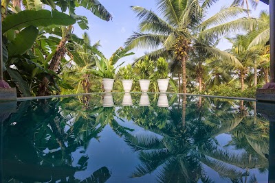 Photos of Casa Heliconia