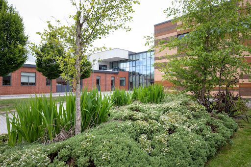 Chilton Trinity School - Visual