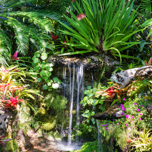 Ricandi Studio Gallery & Gardens - Thumbnail