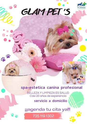 GLAM PET`S SPA-ESTETICA CANINA