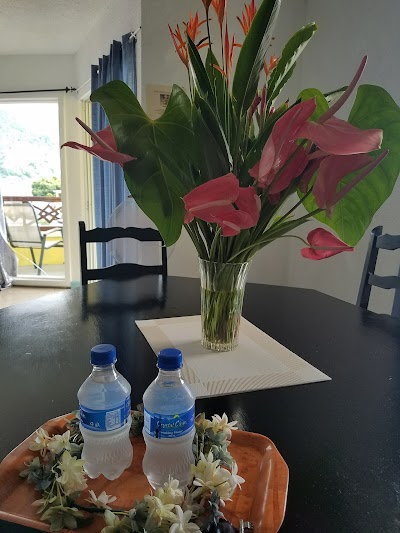 Photos of Sea/Piton View Apartment