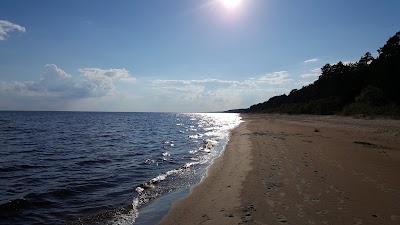 Photos of RMK Uusk&uuml;la telkimisala