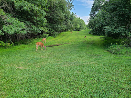 Old Towne Park - Thumbnail