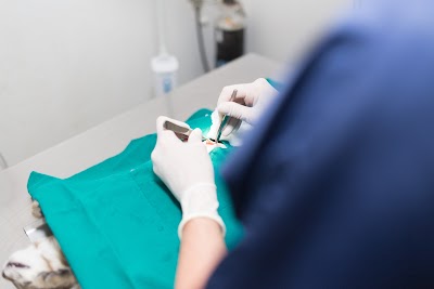 Photos of Chase Valley Veterinary Clinic