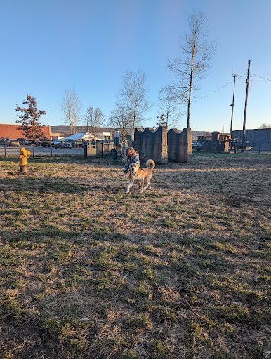 Port Jervis Dog Yard - Thumbnail