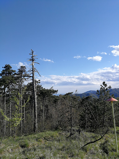 Passo Scisa - Visual