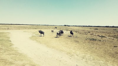 Photos of Khama Rhino Sanctuary Restaurant