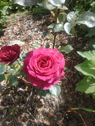 Photo n°9 de L Essentiel 04140 à Seyne (Centre de bien-être)