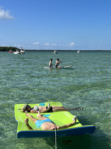 Mr sea trips - Thumbnail