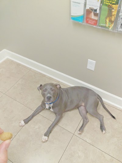Photos of Oakwood Animal Hospital