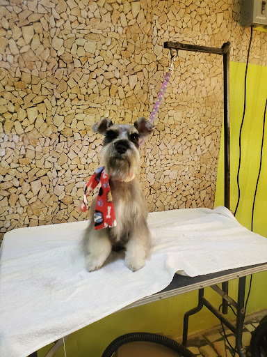 Clínica Veterinaria San Eloy