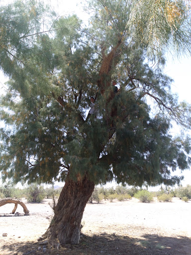 Old Stagecoach stop - Thumbnail
