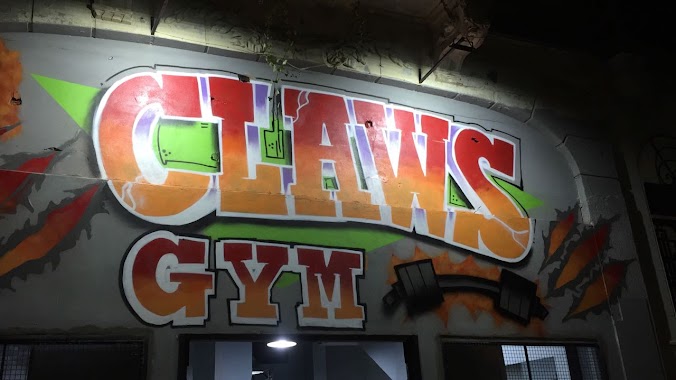 Claws Gym, Author: nelson cardozo