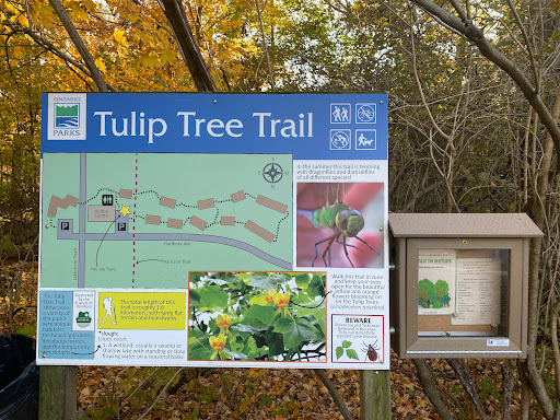 Tulip Tree Trail - Thumbnail