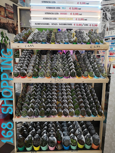 168 Shopping Srl - Italy