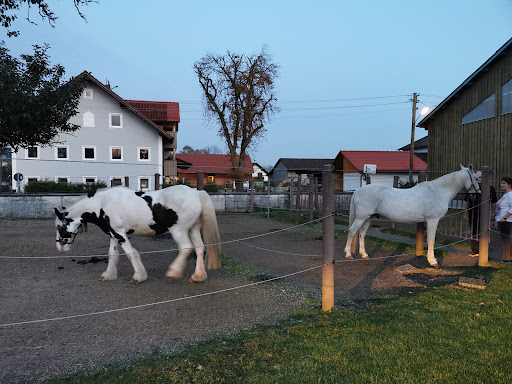 Reitstall Friedinger - Visual