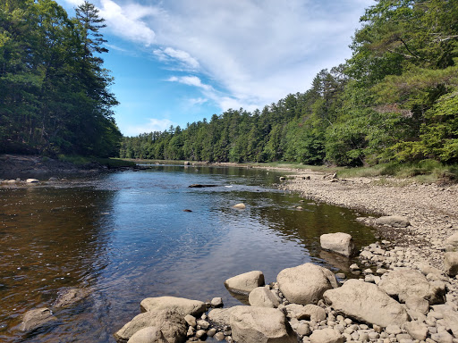 Bass Falls Preserve