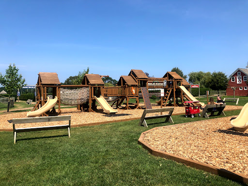 Harbes Family Farm - Mattituck - Thumbnail