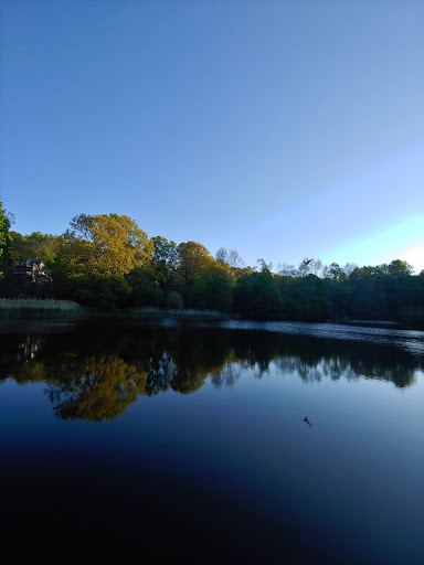 Abe Stone Park - Thumbnail