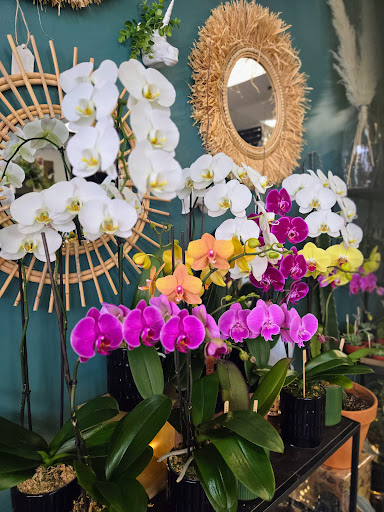 O'Fleuriste - Visual