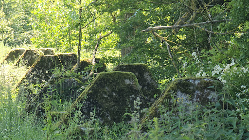 Höckerlinie Simmerath (Westwall / Siegfriedlinie)