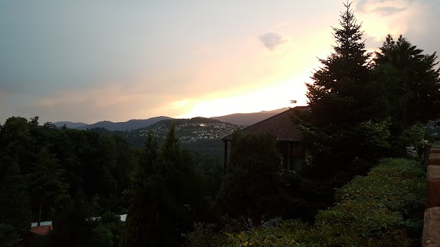 Osteria Gallo d'Oro