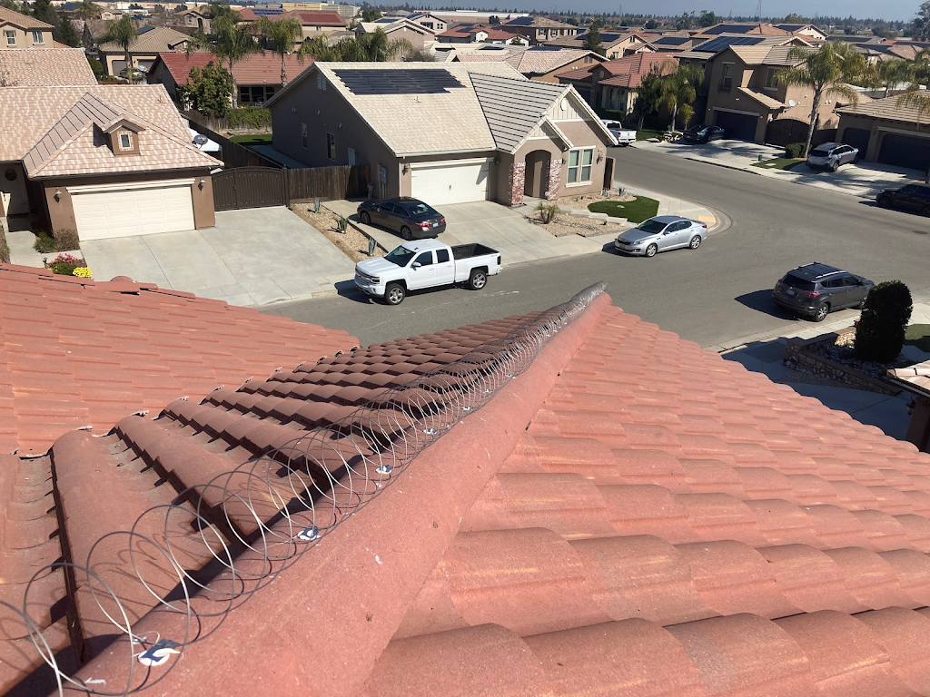 Illuminate pressure washing