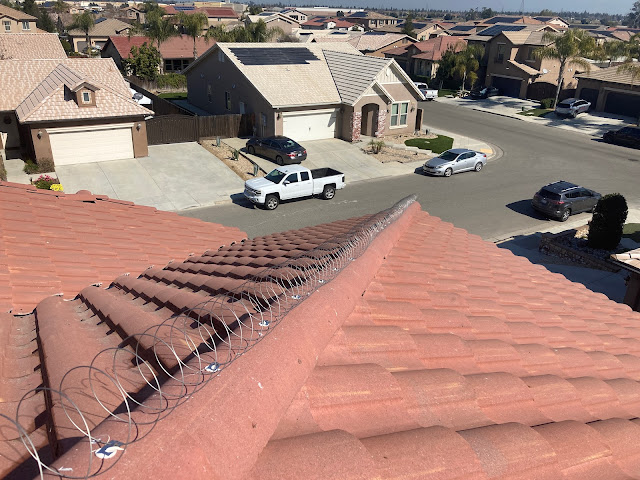 Photo of Illuminate pressure washing in  - Top-rated Pressure Washing Service near me.