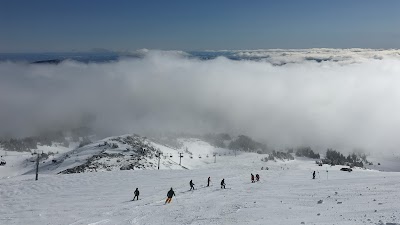 Mt. Hood Meadows