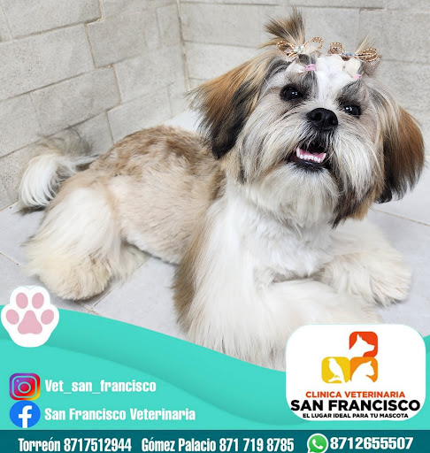Clínica Veterinaria San Francisco Sucursal Chapala