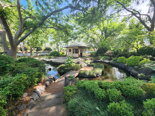 Japanese Garden and Tea House at Campbelltown Arts Centre