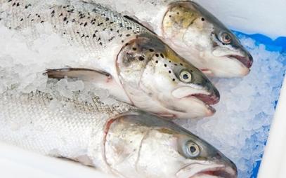 MGW Seafoods Ltd