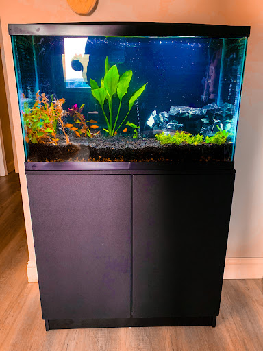Mainely Fish - Thumbnail