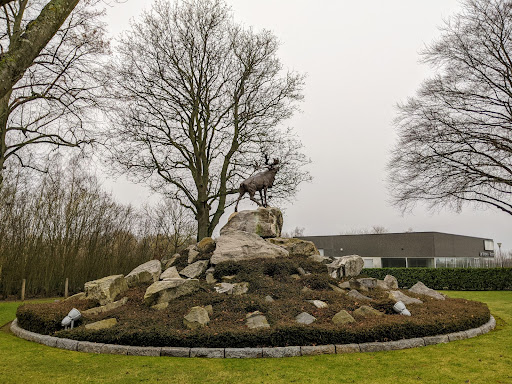 Masnières Newfoundland Memorial - Thumbnail