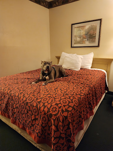 Days Inn by Wyndham Concordia - Thumbnail