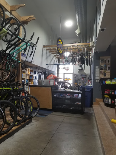 GEARS Bike Shop Mississauga - Thumbnail