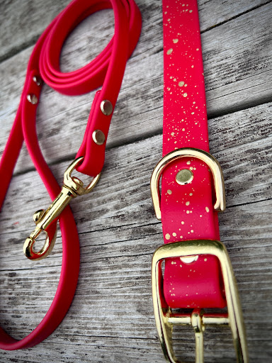 MyLeash - Visual