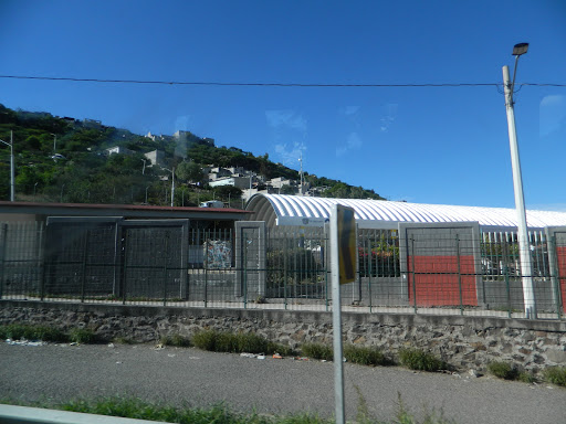 Primaria Pipila