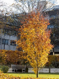 The Centre for Earth Systems Engineering Research newcastle