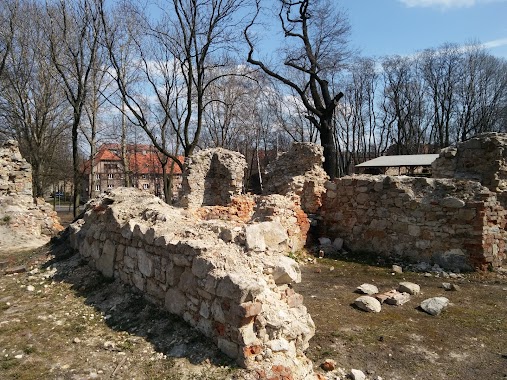 Dom Karola Goduli. Fundacji Zamek Chudów, Author: Mariusz Tyski