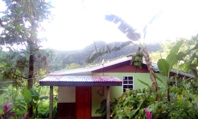 Photos of Wale's Yard (CHEAP COMFORTABLE ROOMS)