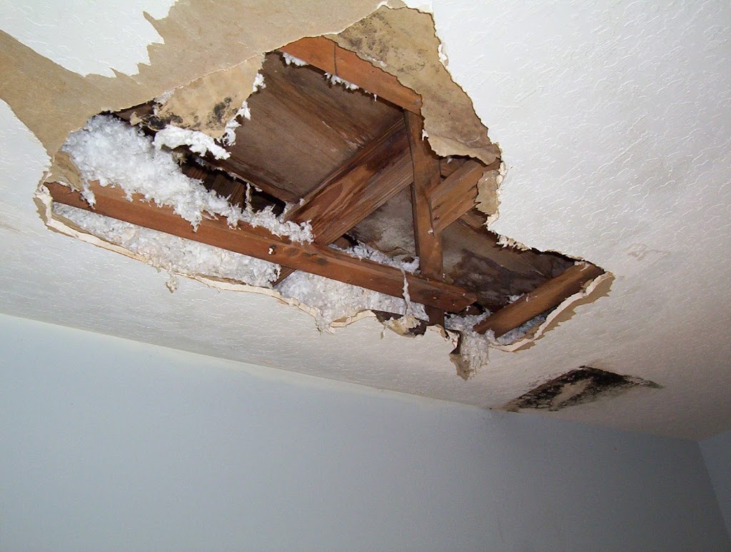 Rapid Action Water Damage photo