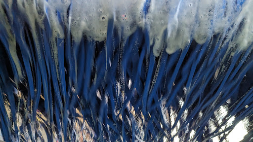 Blue Cow Carwash - Thumbnail