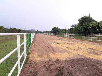 Photos of Nunchia Airport